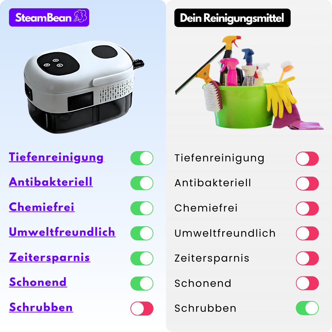 SteamBean Vergleich, Putzmittel vs SteamBean